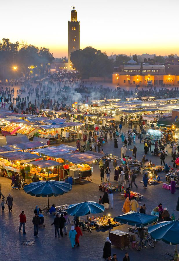 Day Trip from Casablanca to Marrakech