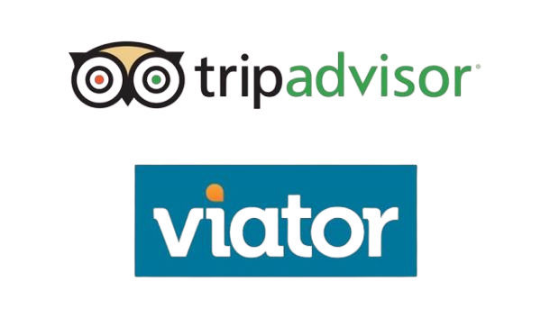 tripadvisor